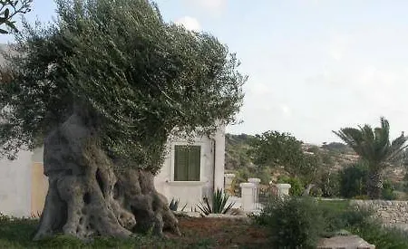 Relais Parco Cavalonga 4*